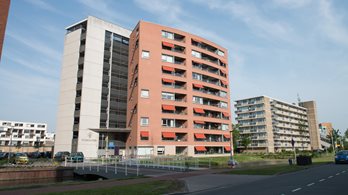 Tuinfluiter Appartement Type B Kerklaan 141